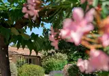 SOWELL HÔTELS Les Jardins du Cap foto 8