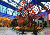 Bellagio foto 7