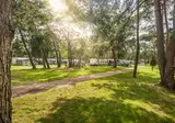 Bos Park Bilthoven foto 3