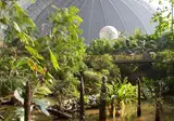 Tropical Islands foto 25