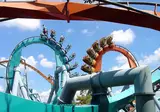 Fly drive Orlando foto 3