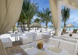 Divi Aruba Phoenix Resort foto 9