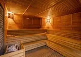 Sidera Kirman Premium foto 46