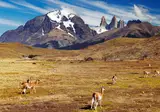 Experience the Impressive Nature of Patagonia foto 4