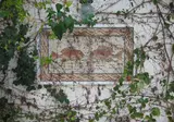 Hotel Residence Mahmoud foto 16