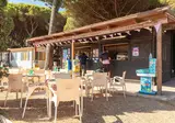 Pineta Sul Mare Camping Village foto 13