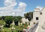Masseria Selvaggi foto 10