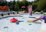 Vakantiepark de Bonte Vlucht foto 3