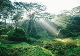 Amaya Hills Kandy foto 30