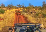 Zuid-Afrika op het Gemak foto 5