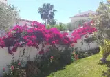 El Capistrano Sur foto 16