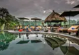 Nandini Jungle Resort & Spa foto 25