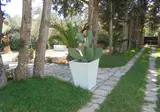 Tenuta Belvedere foto 10