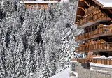 Résidence MGM les Chalets de Joy foto 28