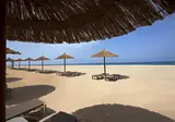 Meliá Tortuga Beach foto 17