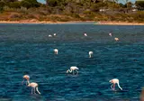 Camping Collection Rivages Salines foto 8