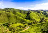 Avontuurlijk Maleisië foto 10