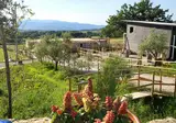 Camping Viovillas Country House Arezzo foto 1