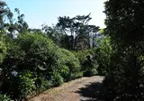 Quinta da Cova do Milho foto 6