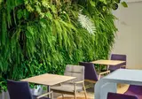 Ibis Styles Budapest Airport foto 6