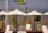Cactus Hotel foto 23