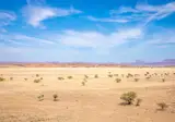 14 daagse reis Ontdek Namibië excl vlucht foto 5
