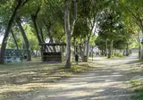 Roseto Degli Abruzzi Easy foto 8