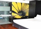 Ikonik Anglí foto 22