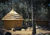Camping Pine Beach foto 4