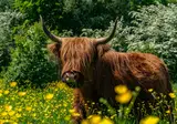 Het Amsterdamse Bos foto 20