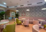 The Agir Springs Hotel foto 32