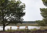 Hotel Arrows Uden foto 27