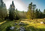 Camping Ekar Asiago foto 2