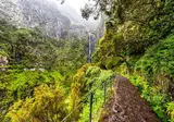 Mooi Madeira foto 6