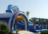 Le Cormoran foto 17