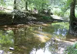 Bockenauer Schweiz foto 12
