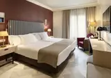 Vincci Albayzín foto 1