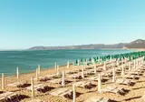 Sentido Orosei Beach foto 22