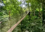 Avontuurlijk Maleisië foto 8