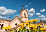 Hotel Sant Pere del Bosc & Spa foto 16