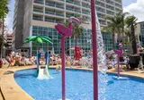 Medplaya Flamingo Oasis foto 13
