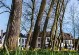 ibis budget Brugge Jabbeke foto 15