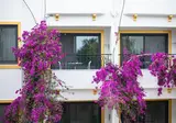 Payam Hotel foto 10