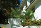 Blue Horizons Garden Resort foto 2