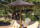 Riu Arecas foto 21