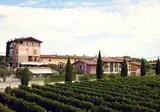 La Bertoletta Village foto 23