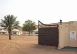 Desert Nights Resort foto 14