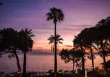 Hotel Omer Prime Holiday Resort & Spa foto 15