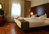 Hotel Zenit Málaga foto 11