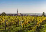 Ontdek de Duitse Wijnroute vanuit Bad Dürkheim foto 1
